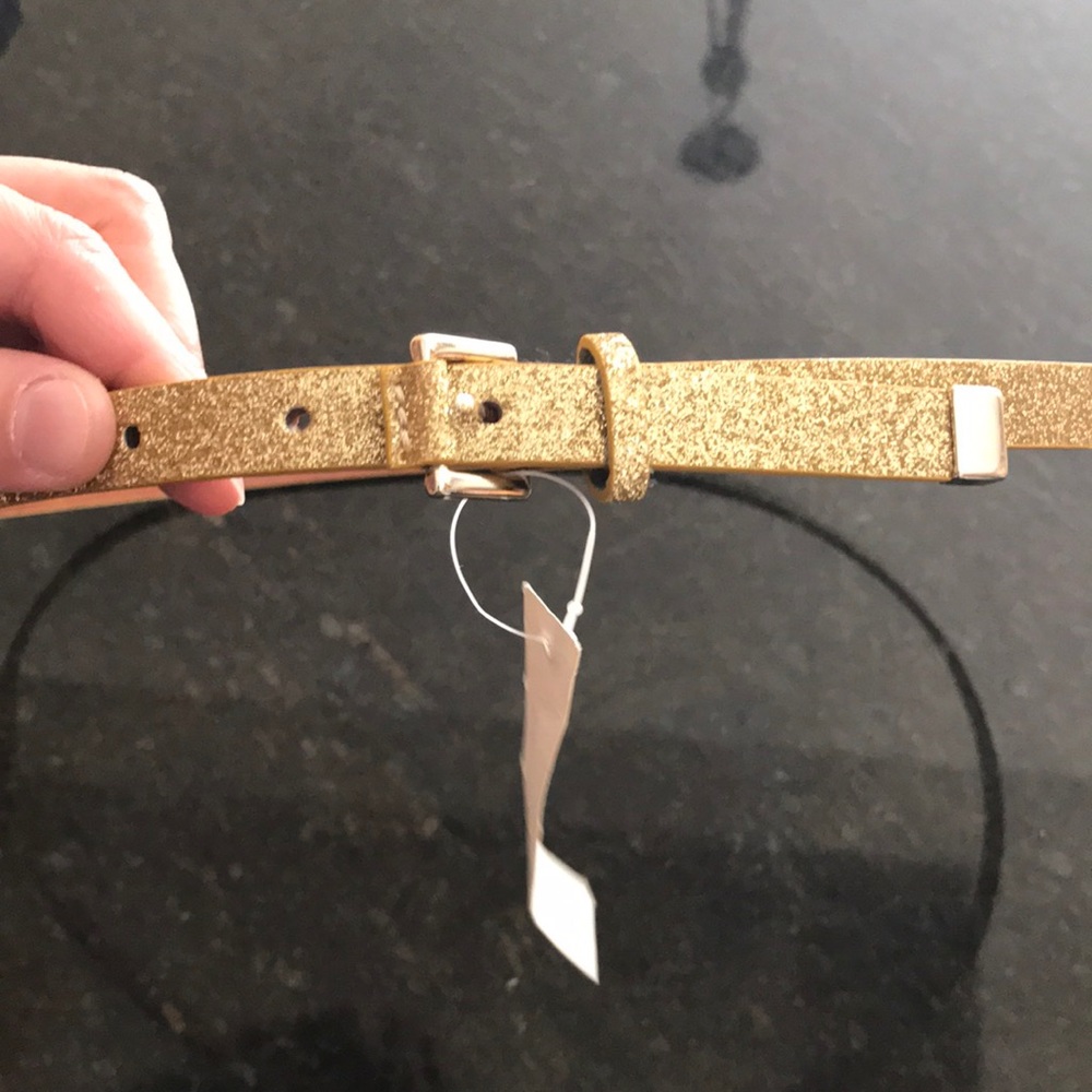 NWT J Crew Factory Gold metallic belt